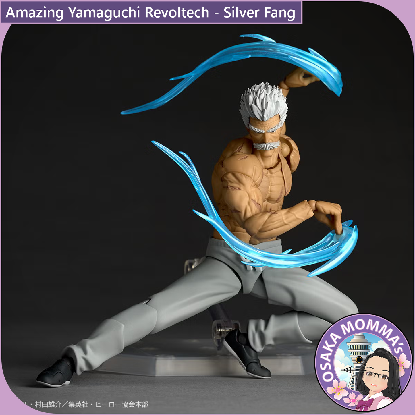 Amazing Yamaguchi Revoltech - Silver Fang【Nov,2026】