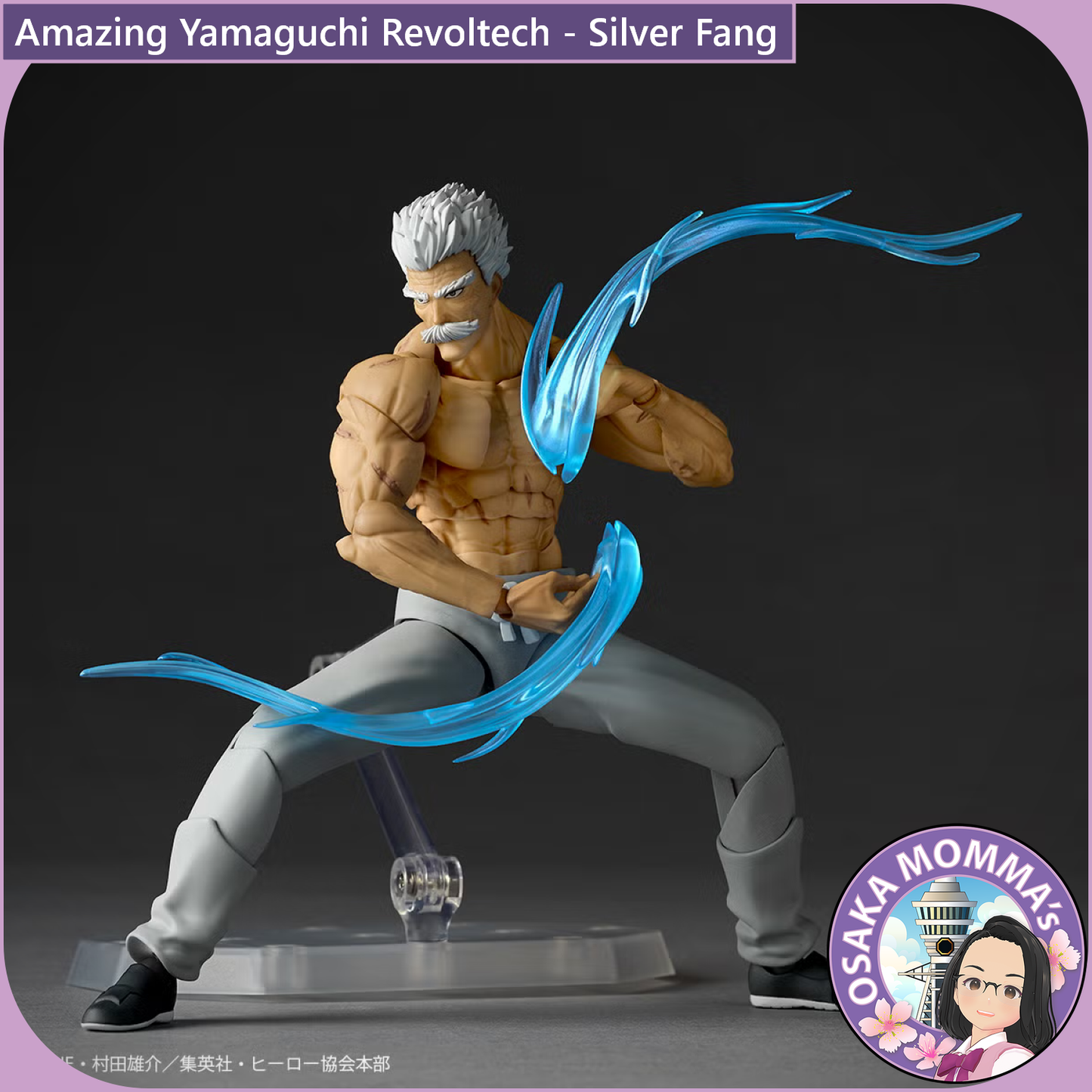 Amazing Yamaguchi Revoltech - Silver Fang【Nov,2026】