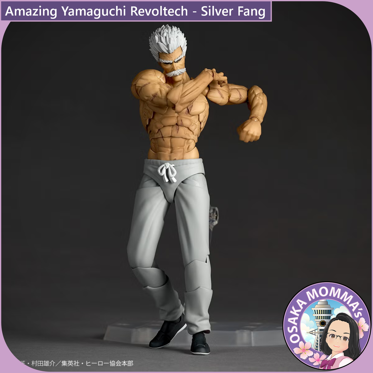 Amazing Yamaguchi Revoltech - Silver Fang【Nov,2026】