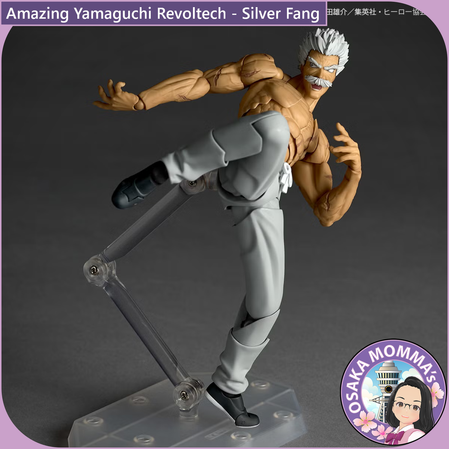 Amazing Yamaguchi Revoltech - Silver Fang【Nov,2026】
