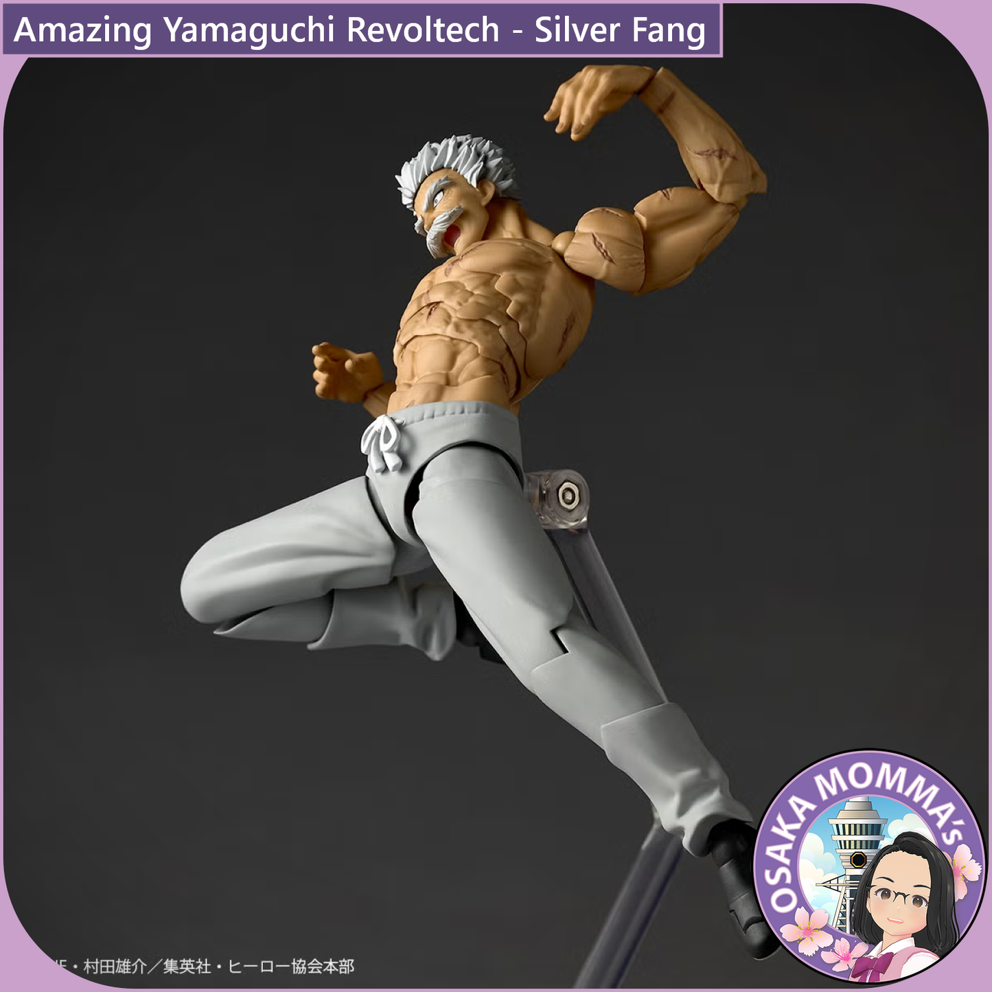 Amazing Yamaguchi Revoltech - Silver Fang【Nov,2026】