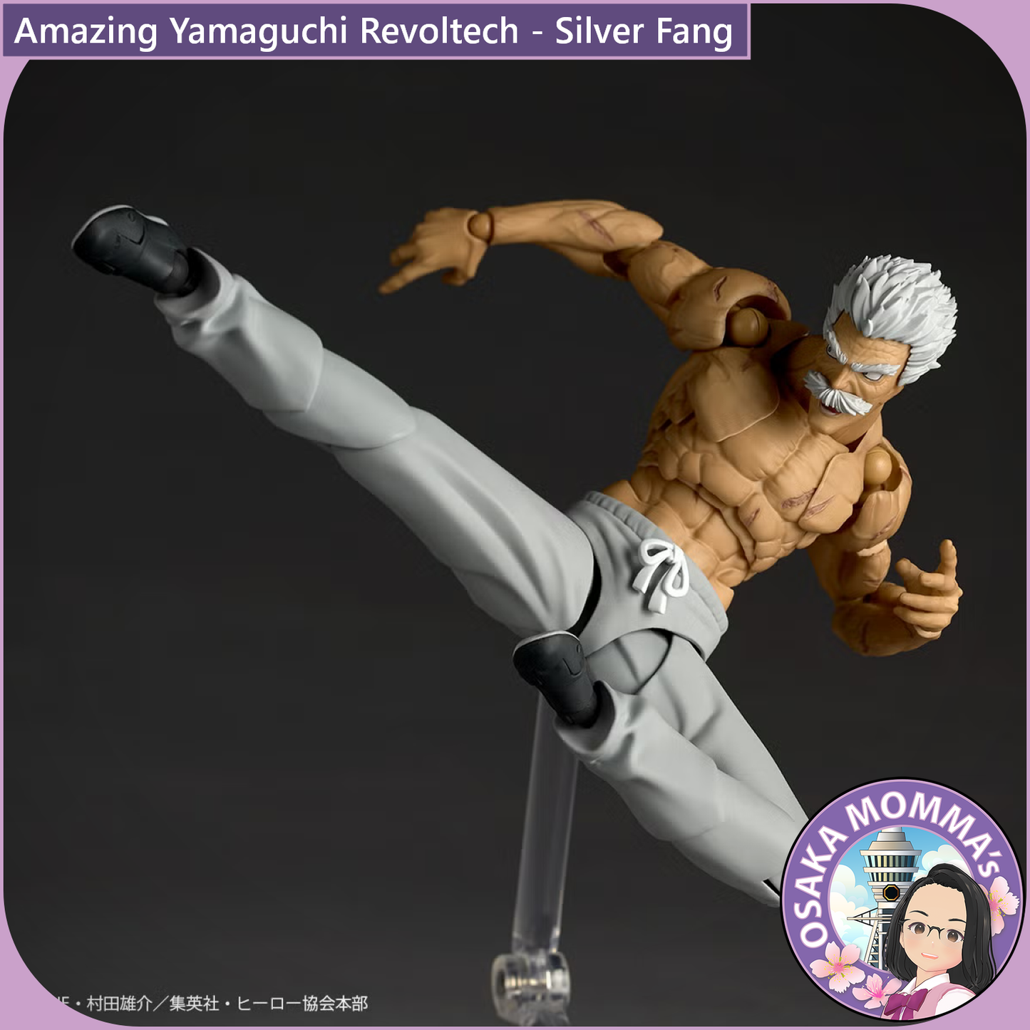 Amazing Yamaguchi Revoltech - Silver Fang【Nov,2026】