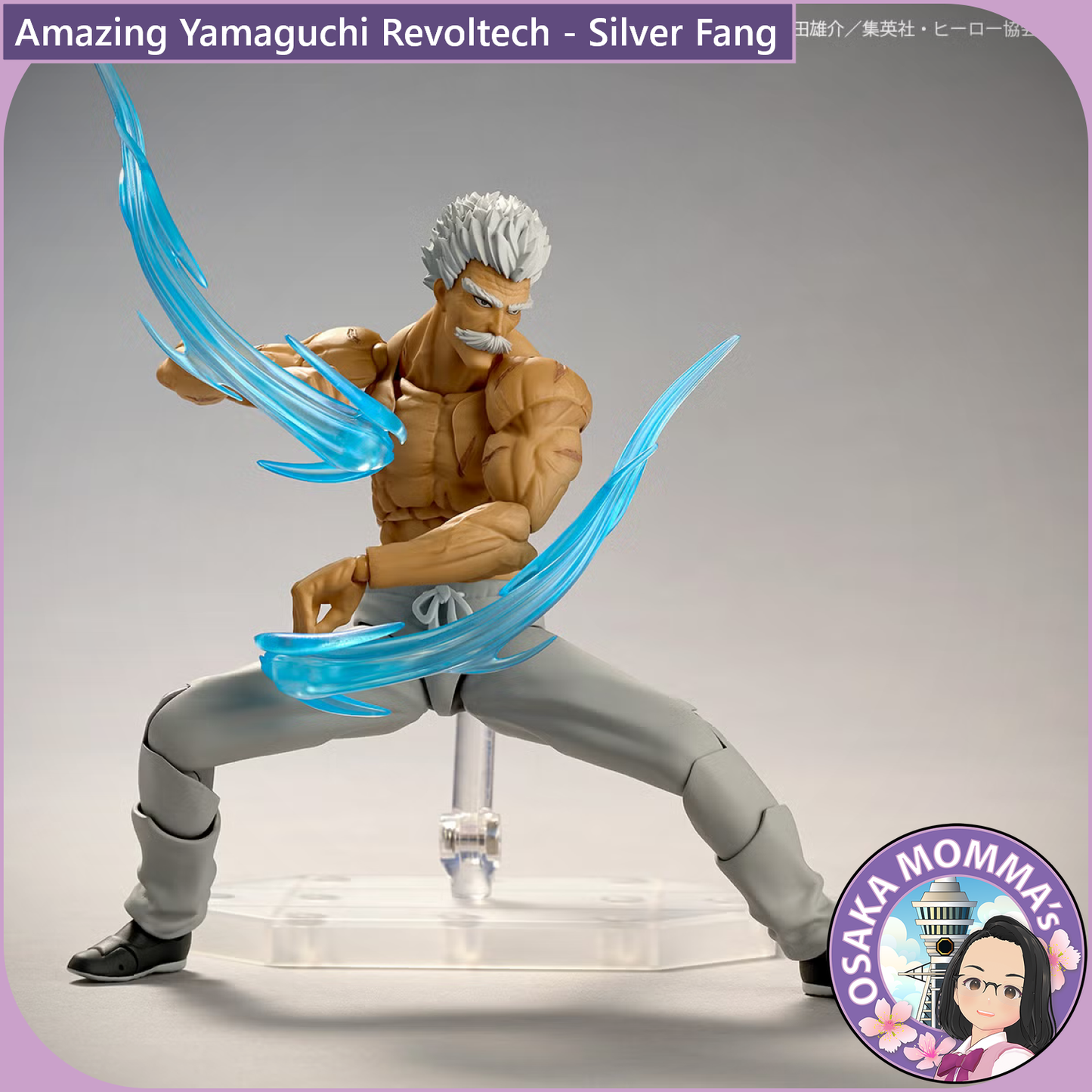Amazing Yamaguchi Revoltech - Silver Fang【Nov,2026】