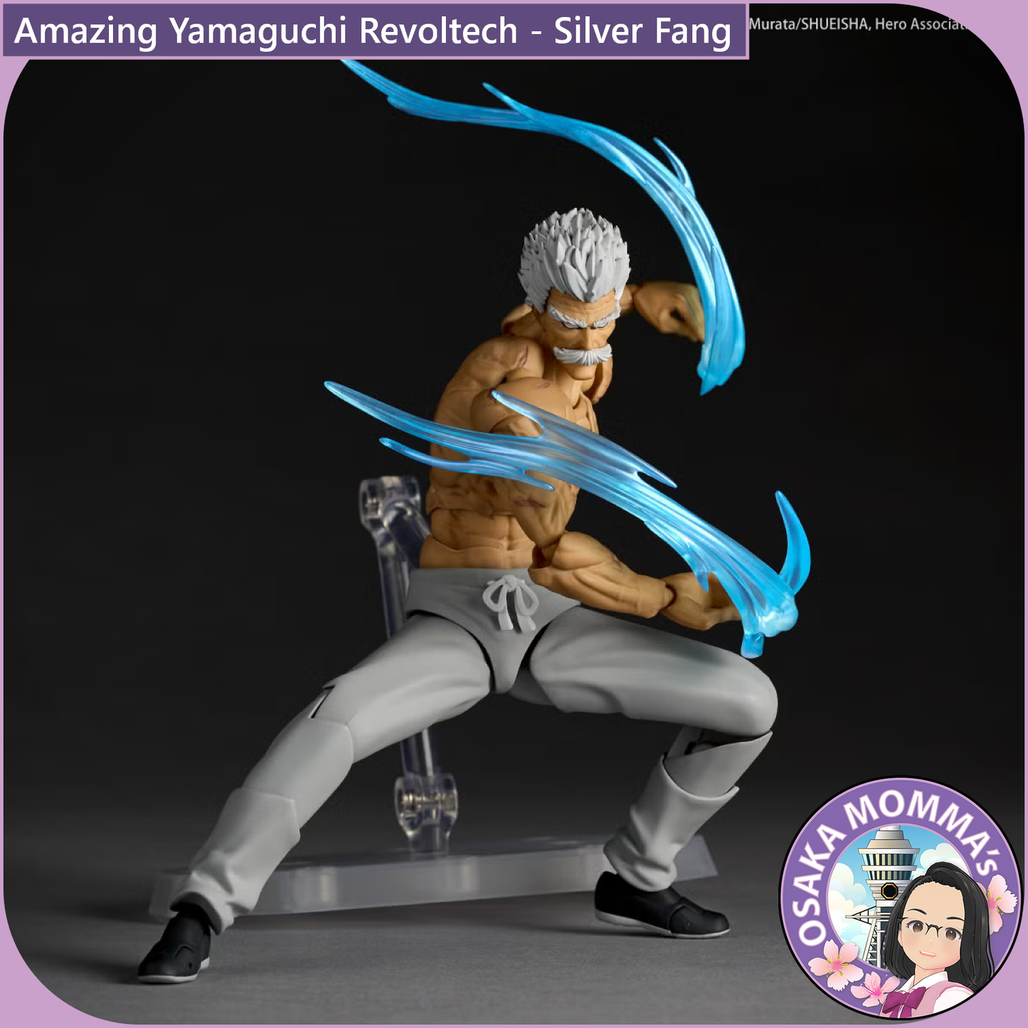 Amazing Yamaguchi Revoltech - Silver Fang【Nov,2026】