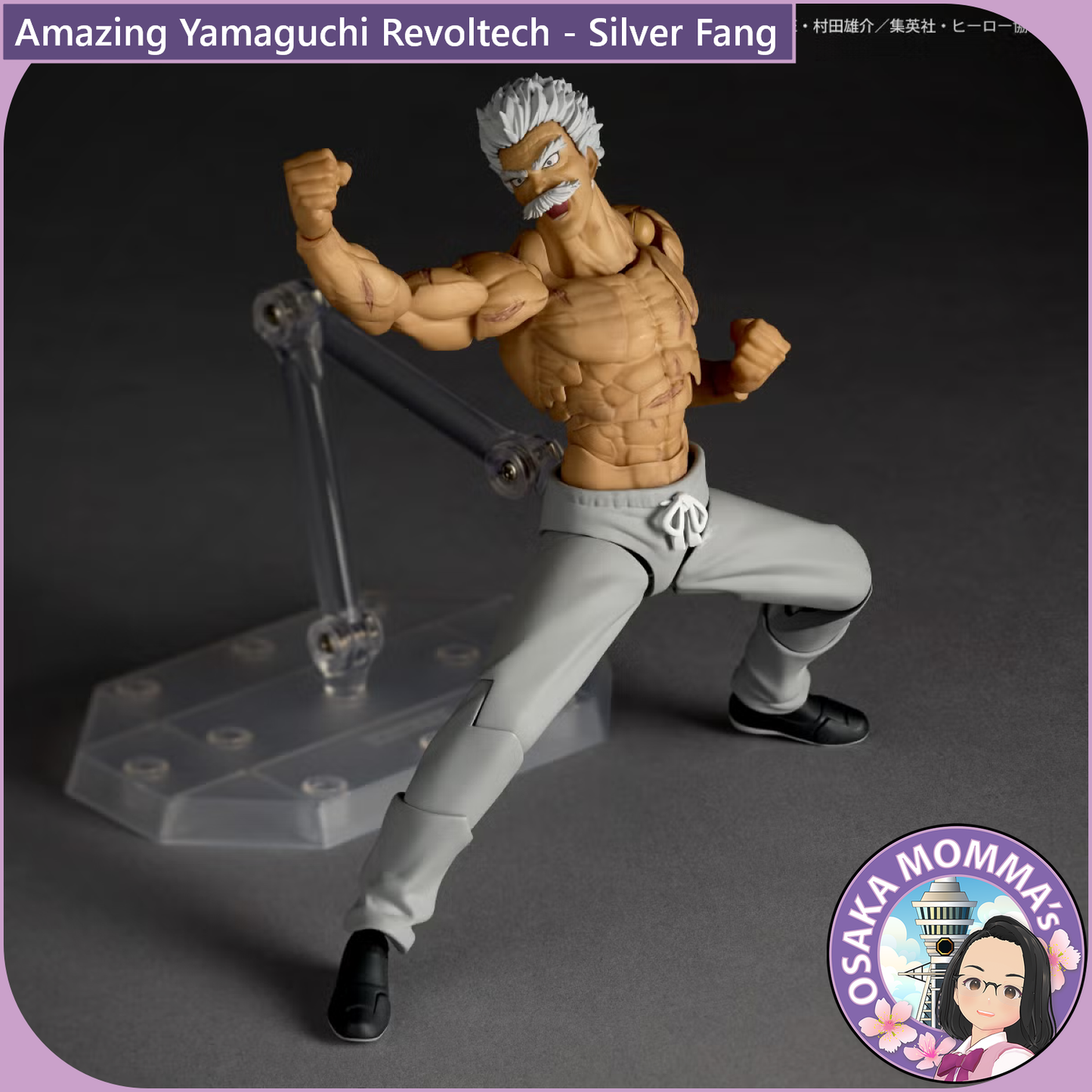 Amazing Yamaguchi Revoltech - Silver Fang【Nov,2026】