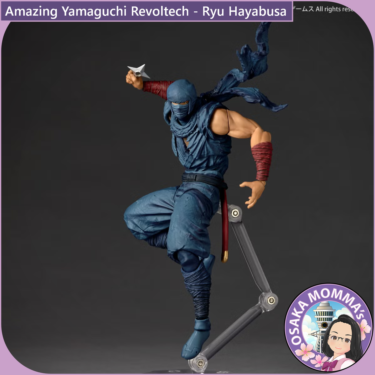 Amazing Yamaguchi Revoltech - Ryu Hayabusa Ninja Gaiden Ver【Dec.2026】
