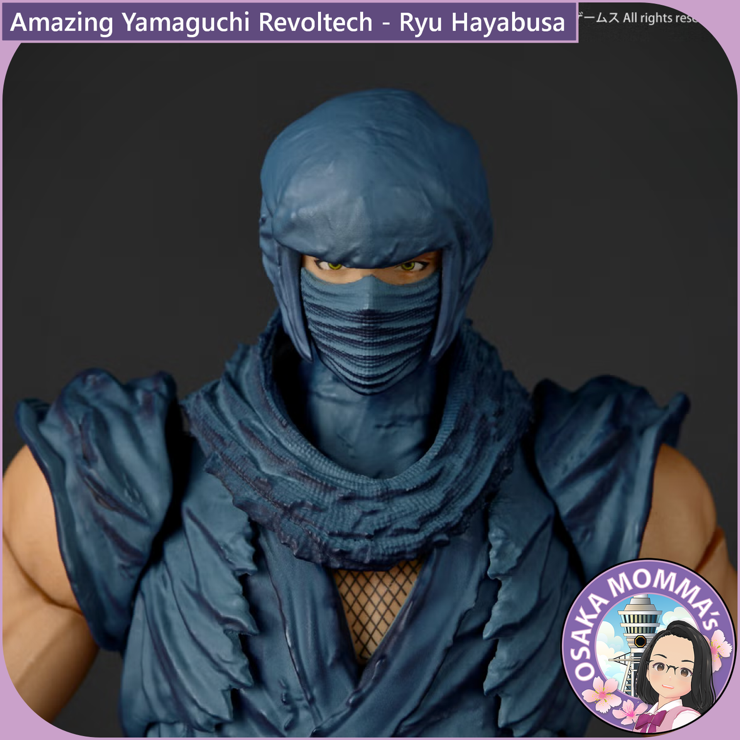 Amazing Yamaguchi Revoltech - Ryu Hayabusa Ninja Gaiden Ver【Dec.2026】