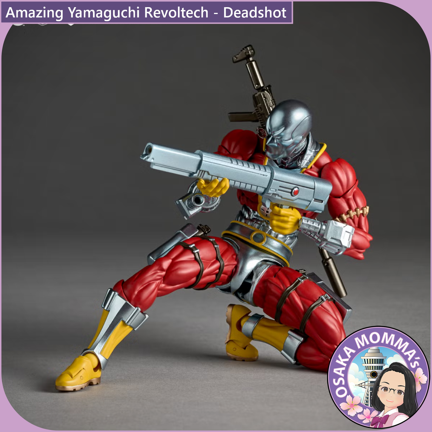 Amazing Yamaguchi Revoltech - Deadshot【Jan, 2027】