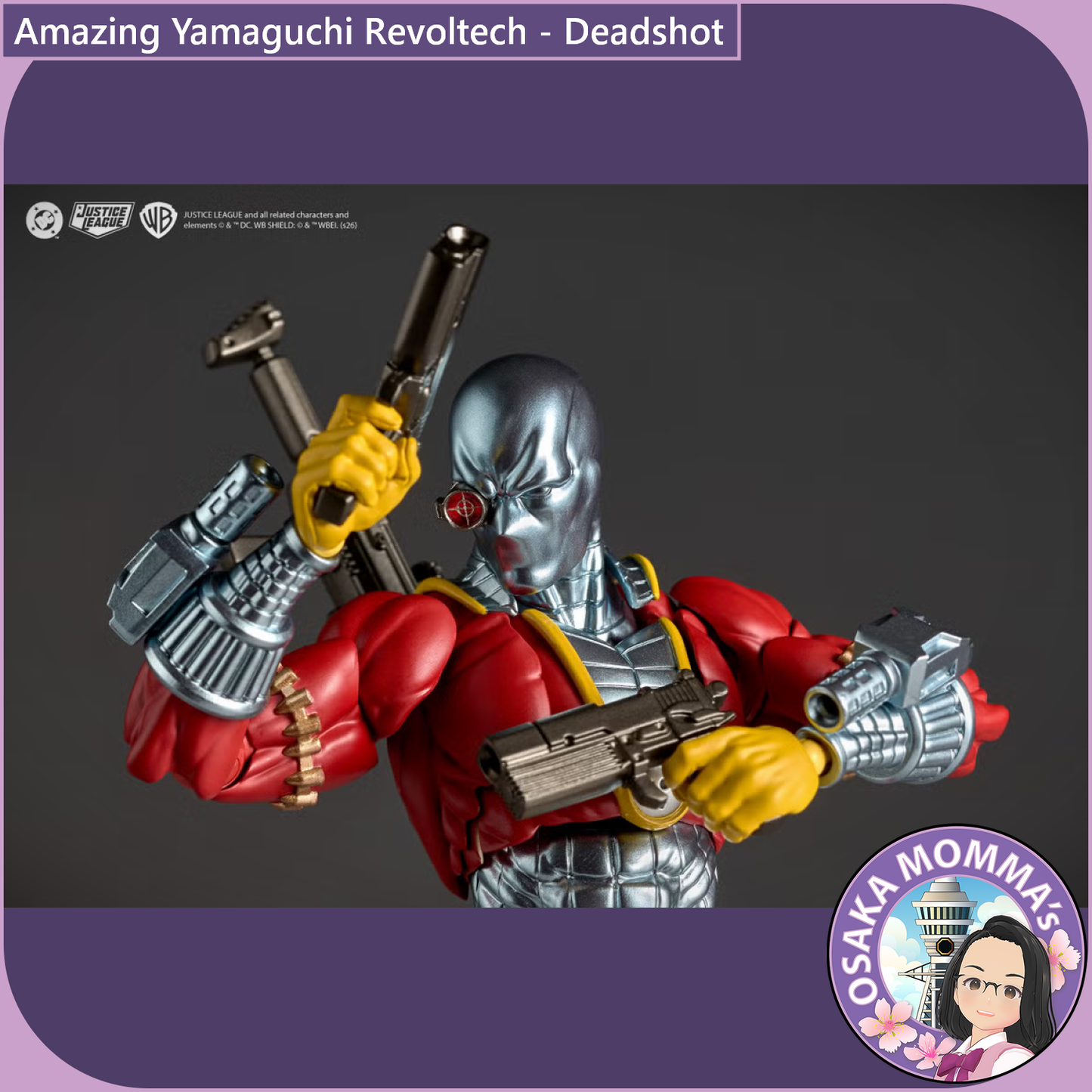 Amazing Yamaguchi Revoltech - Deadshot【Jan, 2027】