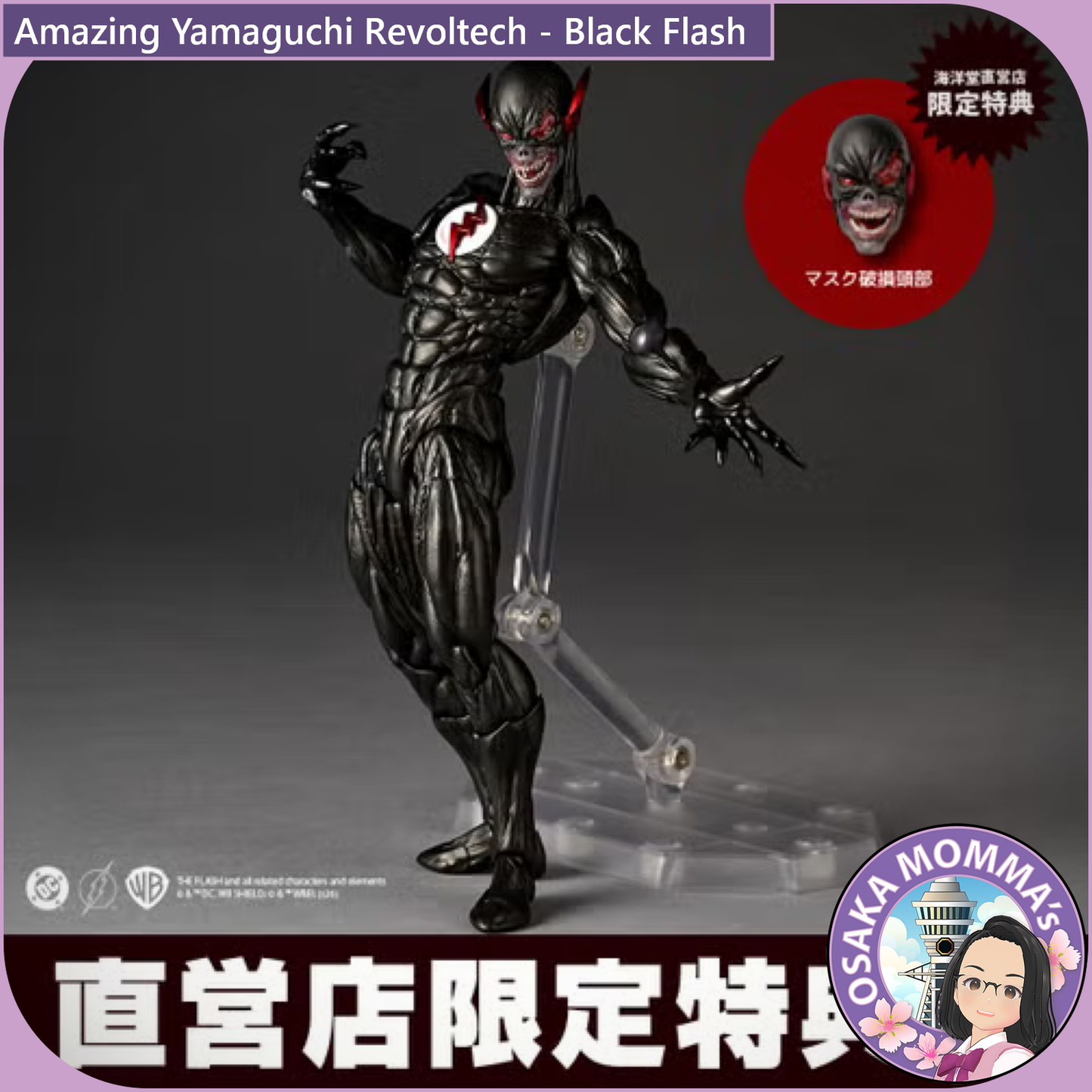 Amazing Yamaguchi Revoltech - Black Flash【Feb.2027】