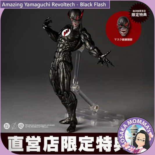 Amazing Yamaguchi Revoltech - Black Flash【Feb.2027】