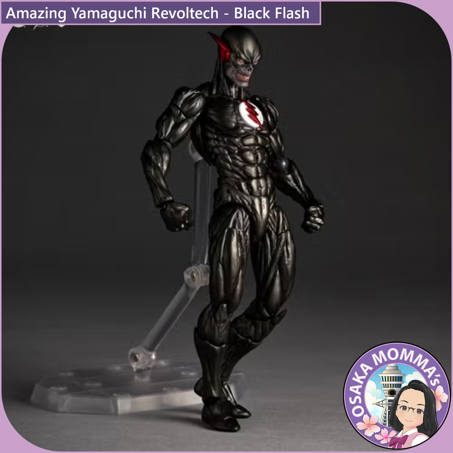 Amazing Yamaguchi Revoltech - Black Flash【Feb.2027】