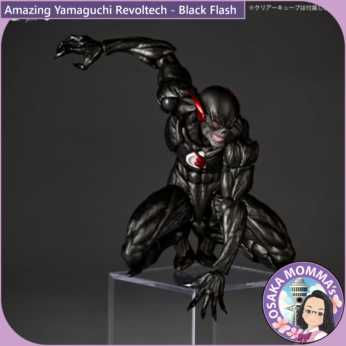Amazing Yamaguchi Revoltech - Black Flash【Feb.2027】