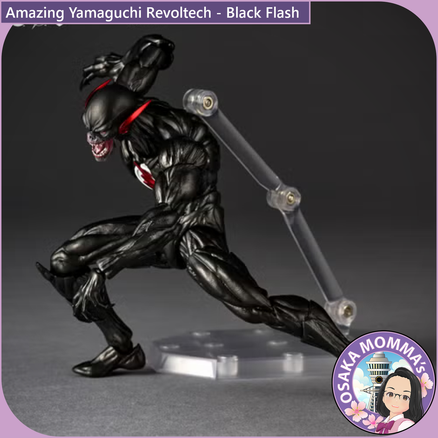 Amazing Yamaguchi Revoltech - Black Flash【Feb.2027】