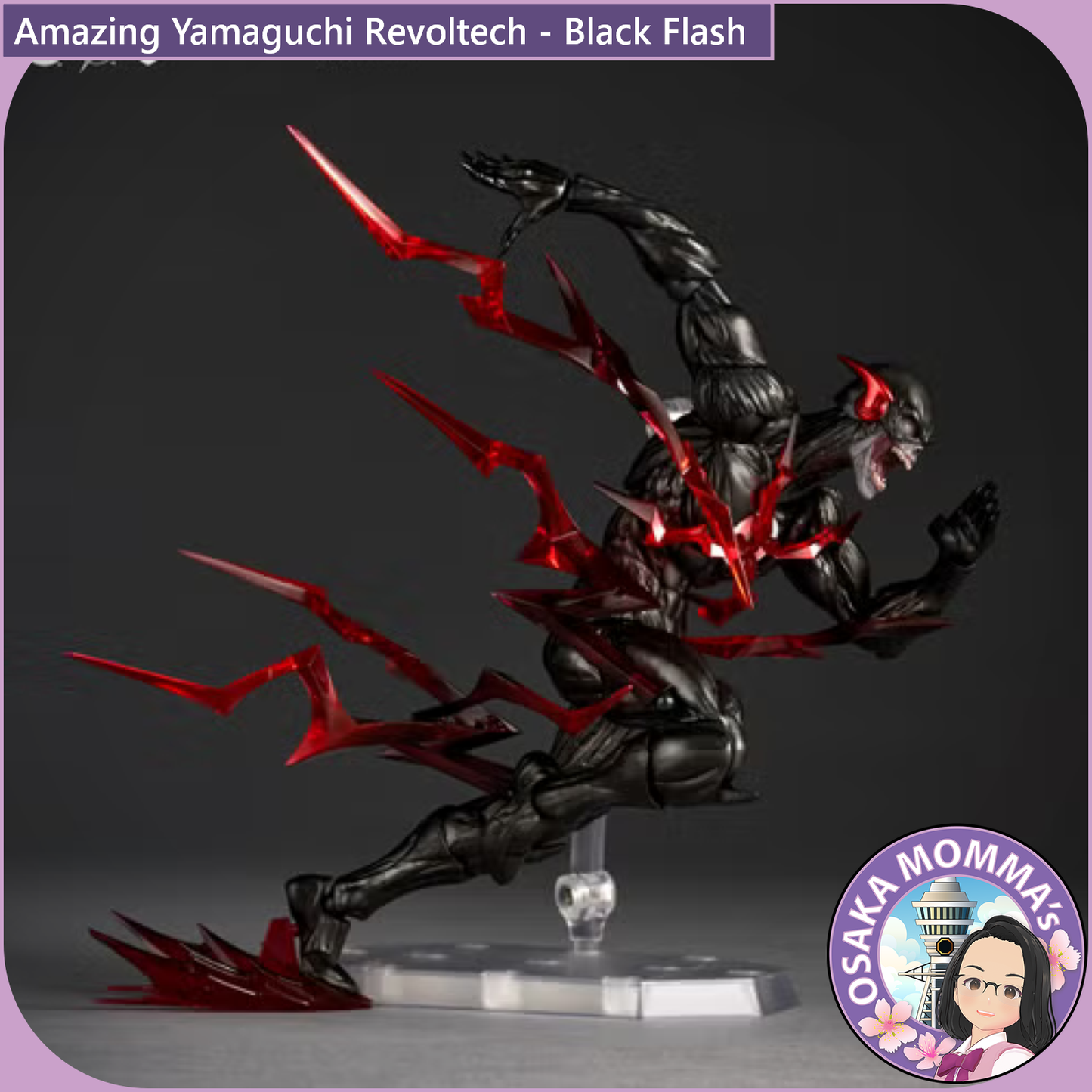 Amazing Yamaguchi Revoltech - Black Flash【Feb.2027】