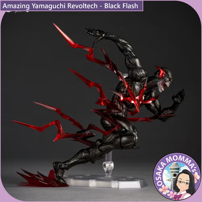 Amazing Yamaguchi Revoltech - Black Flash【Feb.2027】