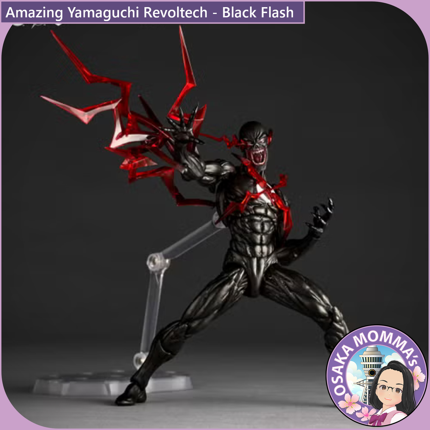 Amazing Yamaguchi Revoltech - Black Flash【Feb.2027】