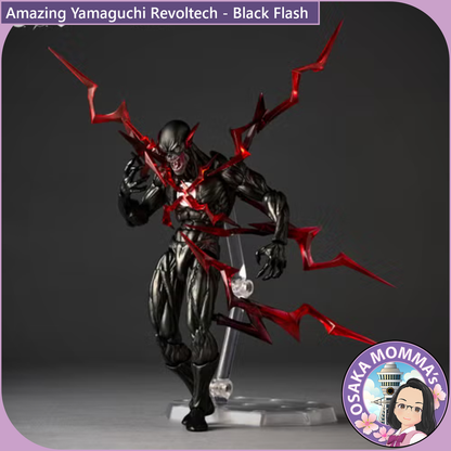 Amazing Yamaguchi Revoltech - Black Flash【Feb.2027】