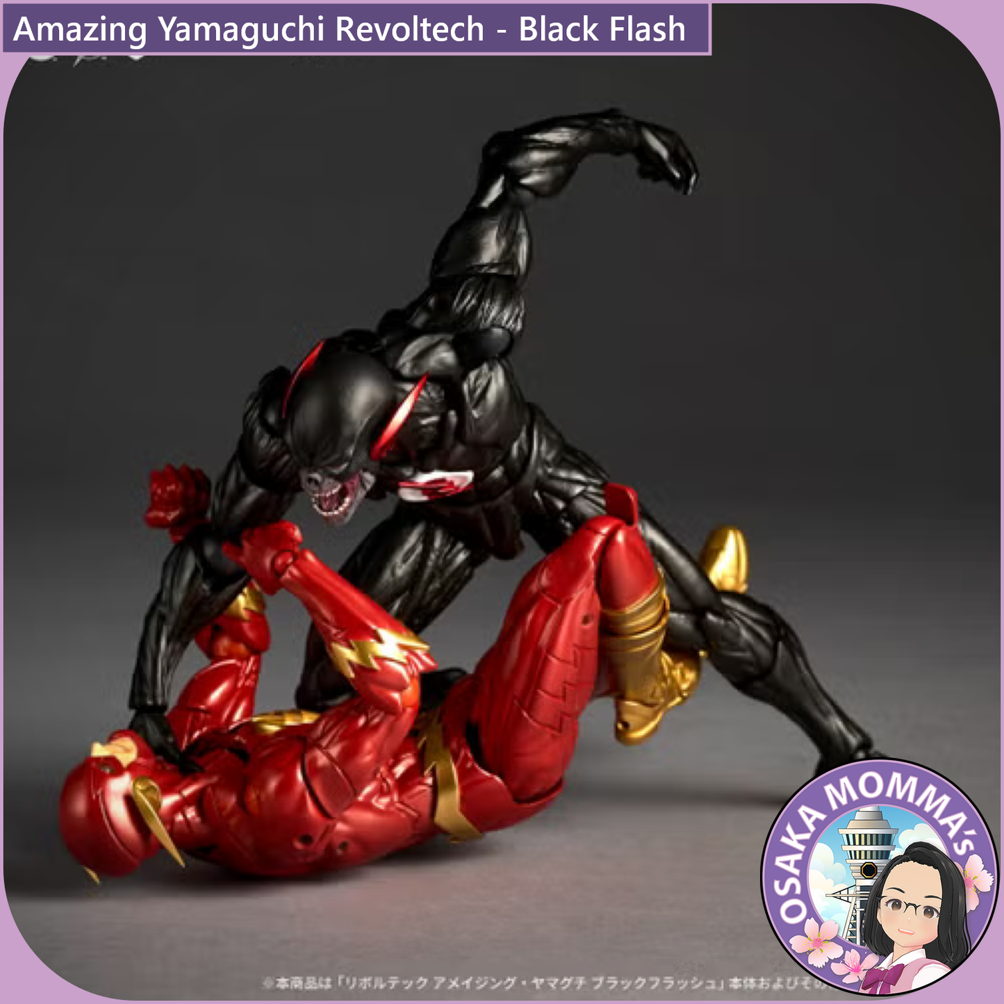 Amazing Yamaguchi Revoltech - Black Flash【Feb.2027】