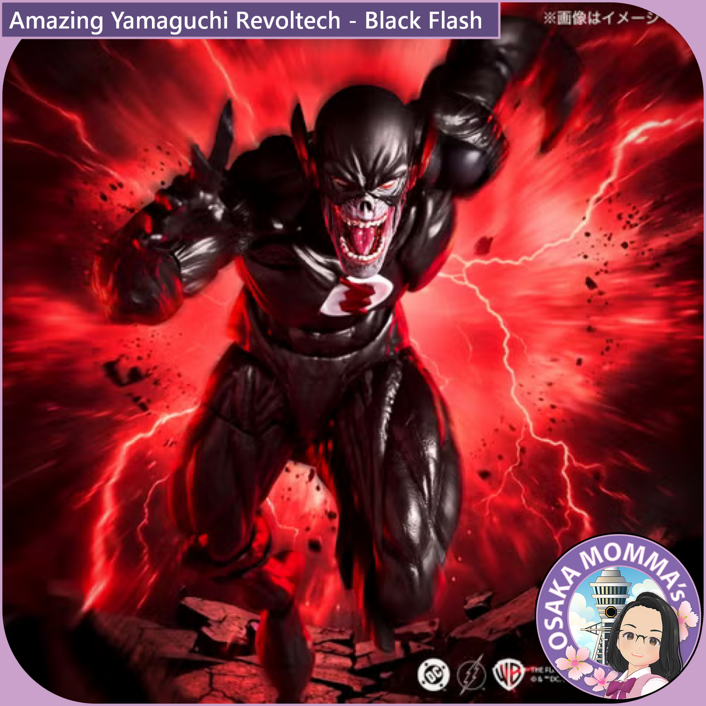 Amazing Yamaguchi Revoltech - Black Flash【Feb.2027】