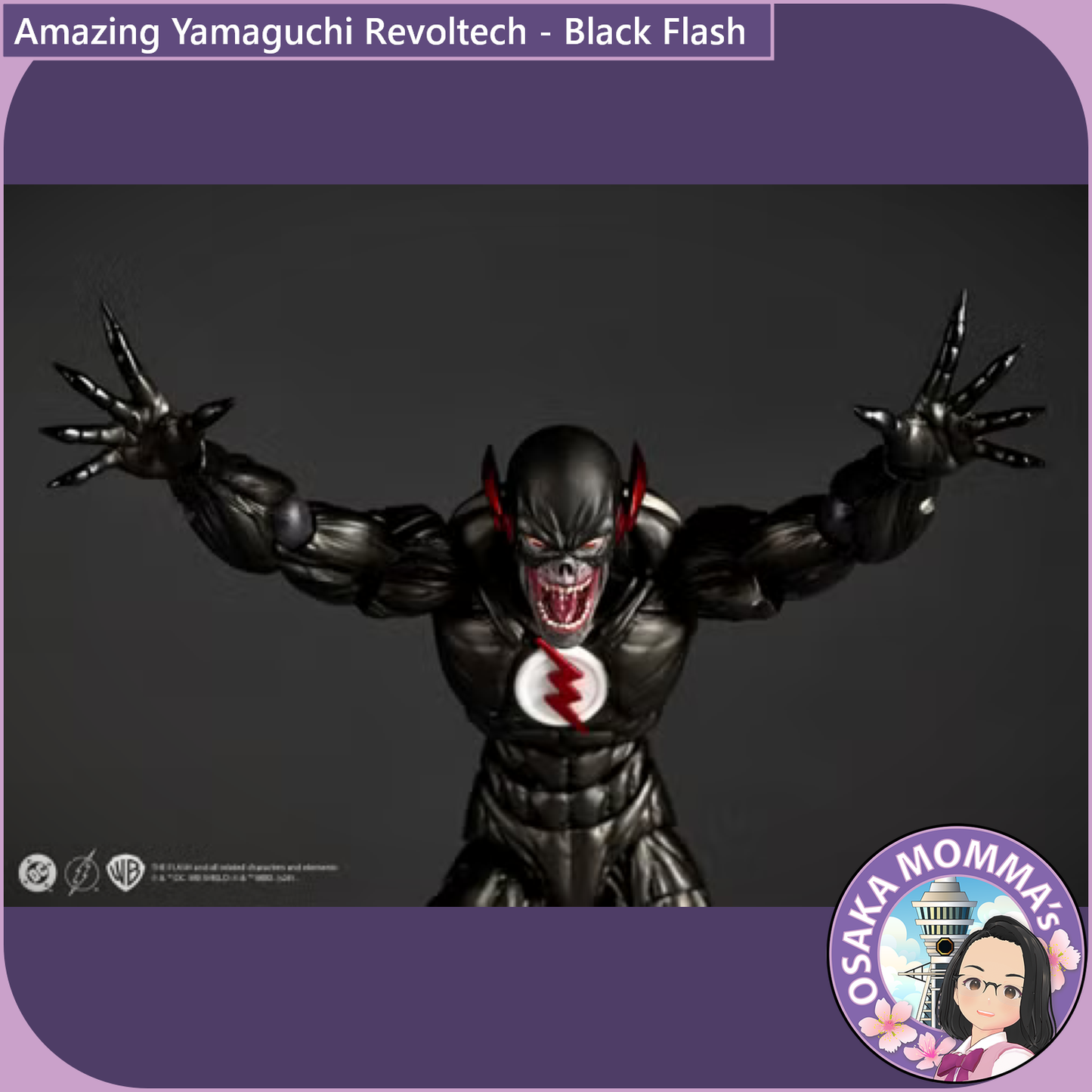 Amazing Yamaguchi Revoltech - Black Flash【Feb.2027】