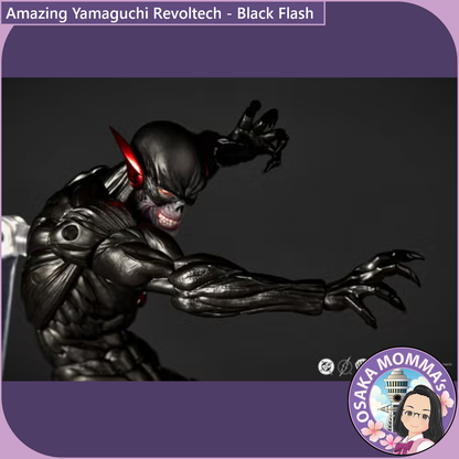 Amazing Yamaguchi Revoltech - Black Flash【Feb.2027】