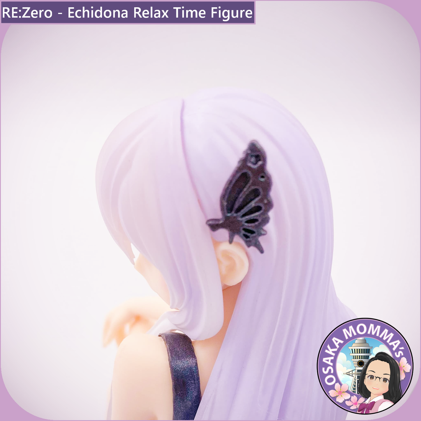 Echidna Relax Time Figure