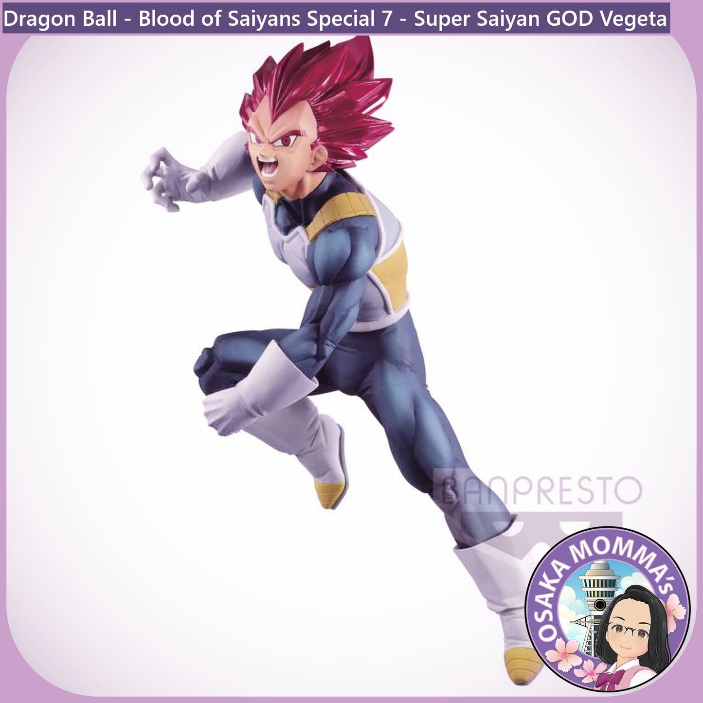 Super Saiyan GOD Vegeta Blood of Saiyans Figure