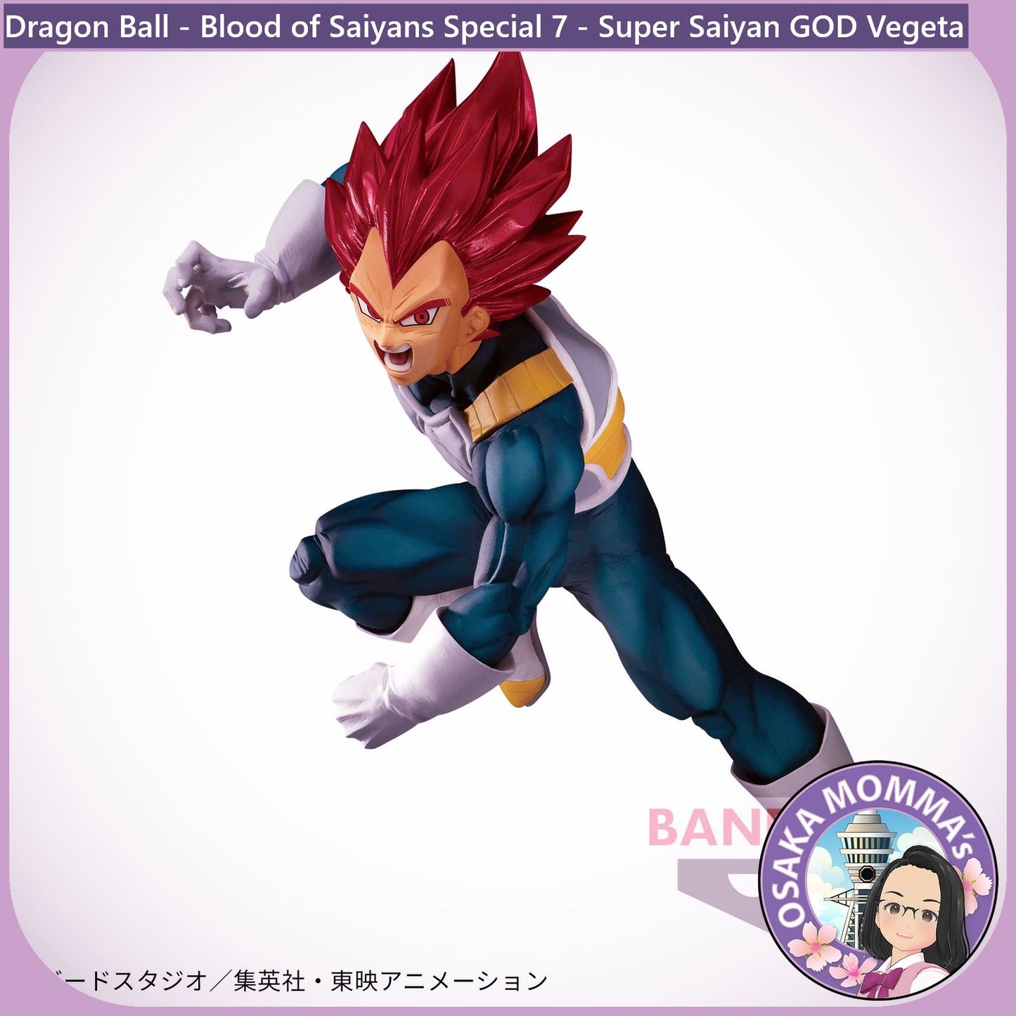 Super Saiyan GOD Vegeta Blood of Saiyans Figure