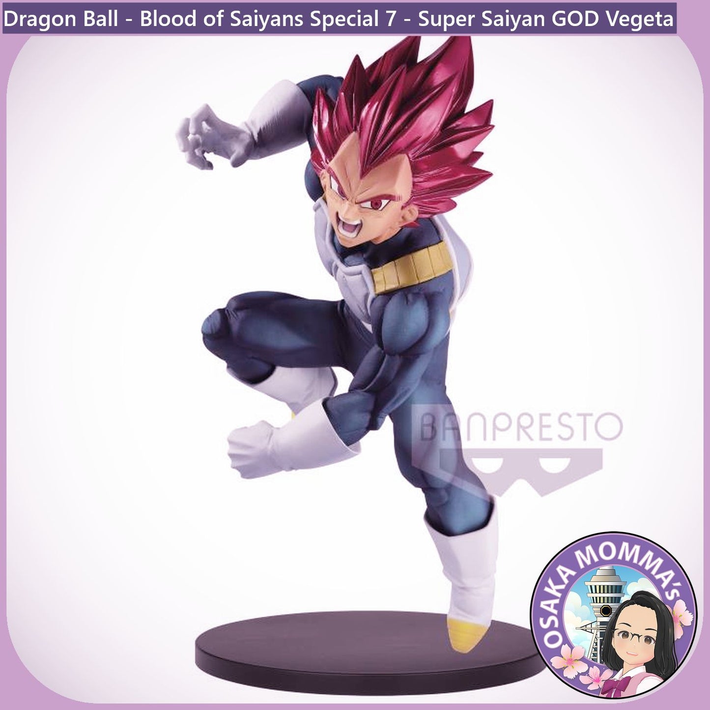 Super Saiyan GOD Vegeta Blood of Saiyans Figure