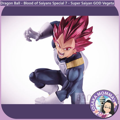 Super Saiyan GOD Vegeta Blood of Saiyans Figure