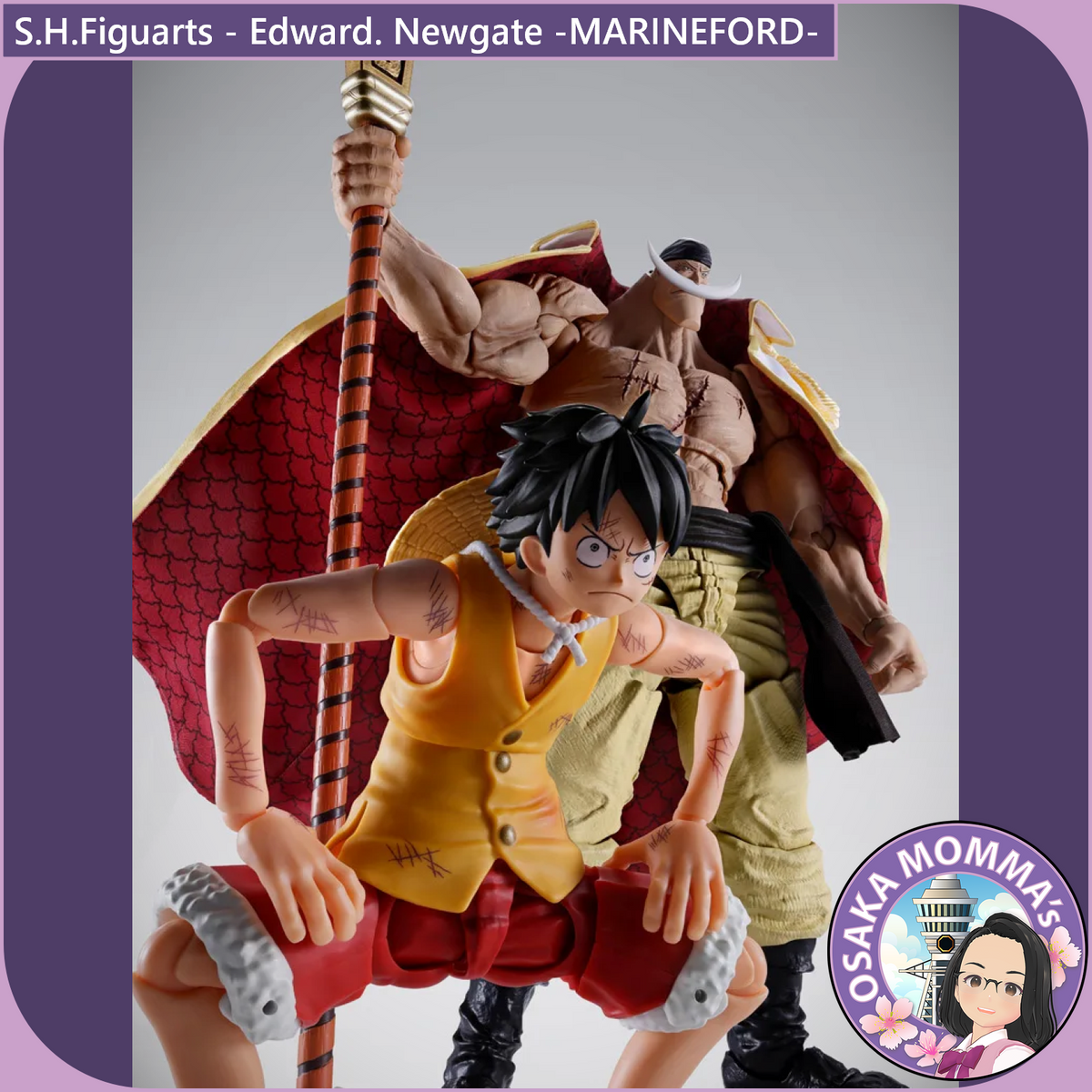 Edward. Newgate -MARINEFORD- S.H.Figuarts【June.2027】