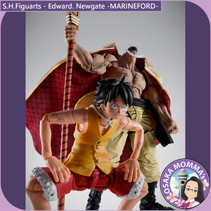 Edward. Newgate -MARINEFORD- S.H.Figuarts【June.2027】