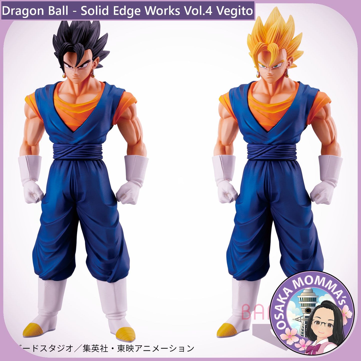 Vegito - Solid Edge Works Vol.4