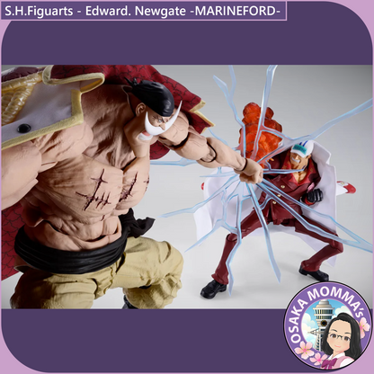 Edward. Newgate -MARINEFORD- S.H.Figuarts【June.2027】