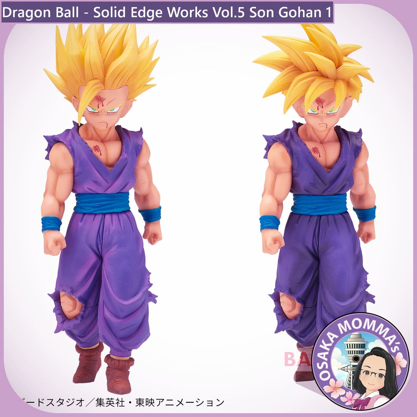 Son Gohan - Solid Edge Works Vol.5