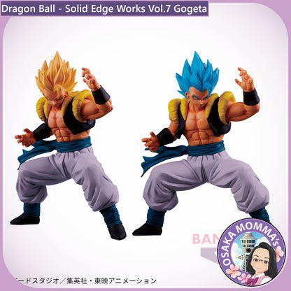 Gogeta - Solid Edge Works Vol.7