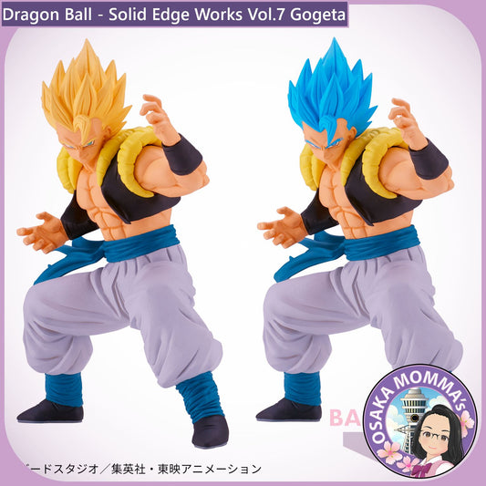 Gogeta - Solid Edge Works Vol.7