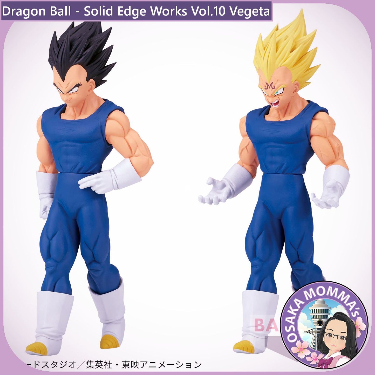 Vegeta - Solid Edge Works Vol.10