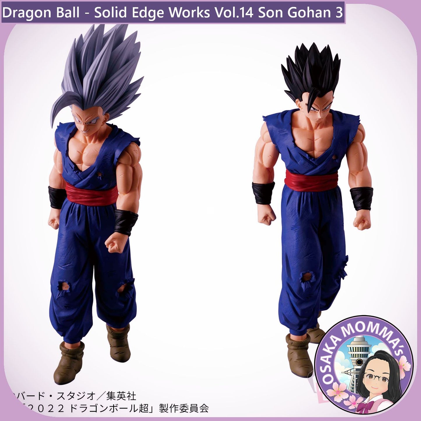 Son Gohan - Solid Edge Works Vol.14