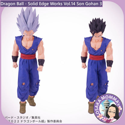 Son Gohan - Solid Edge Works Vol.14