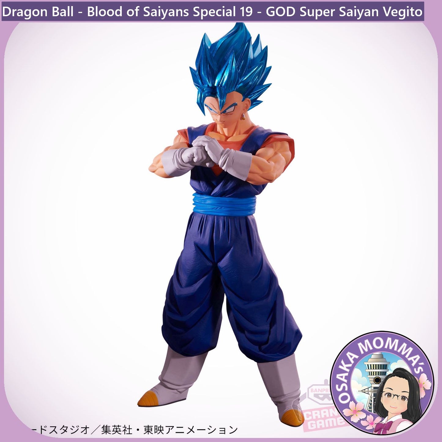 Super Saiyan GOD Super Saiyan Vegito Blood of Saiyans Figure