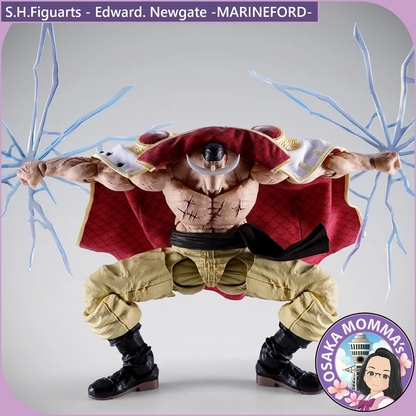 Edward. Newgate -MARINEFORD- S.H.Figuarts【June.2027】
