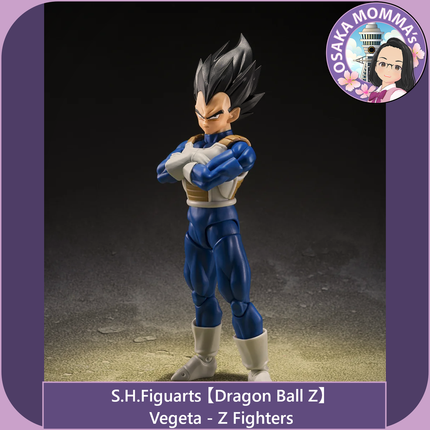 Vegeta -Z Fighters【Apr.2027】