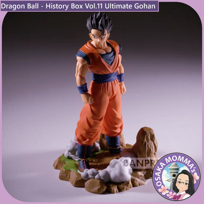 Ultimate Gohan - History Box Vol.11