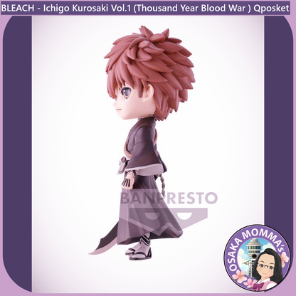 Ichigo Kurosaki Vol.1 Qposket Figure