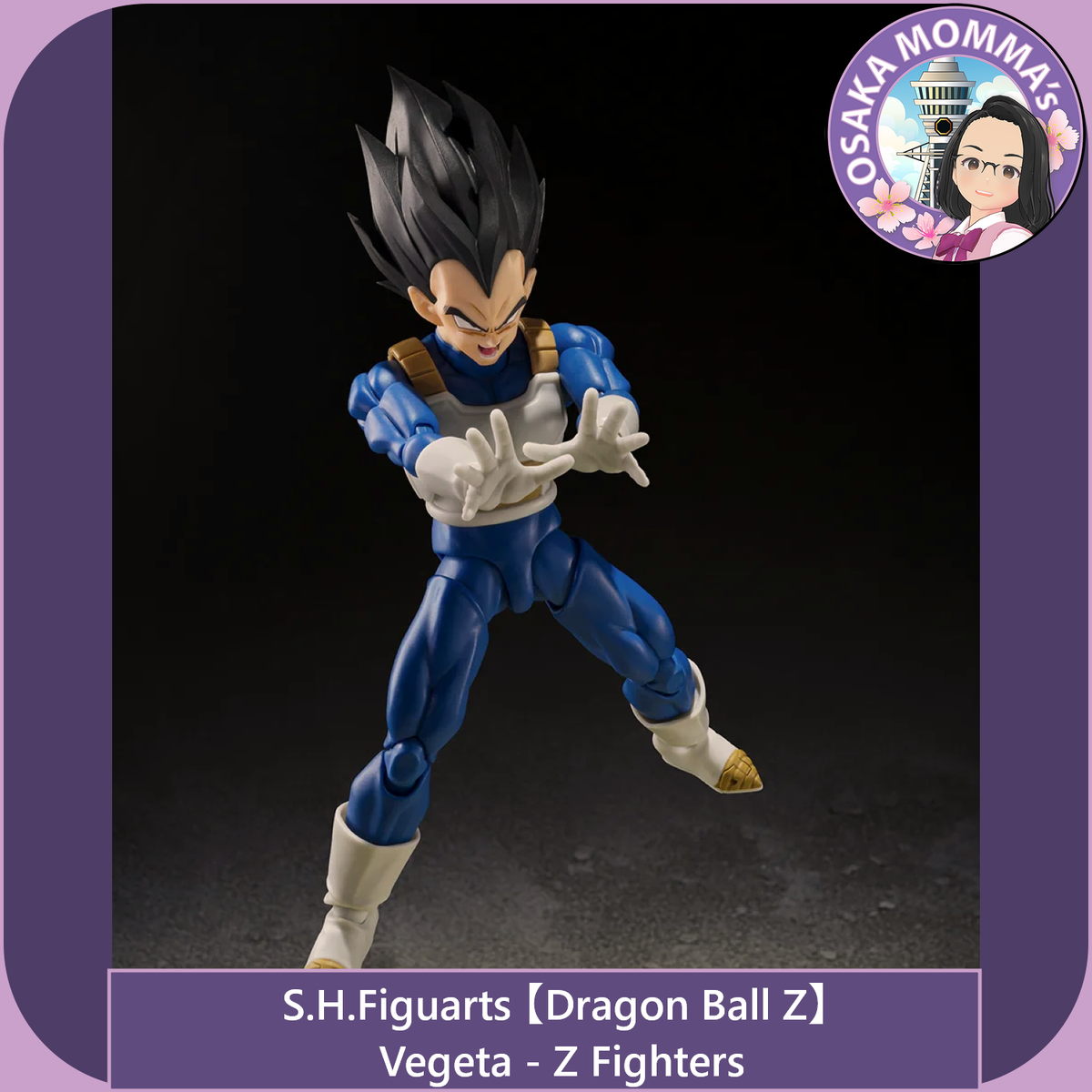Vegeta -Z Fighters【Apr.2027】