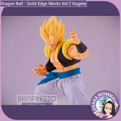 Gogeta - Solid Edge Works Vol.7