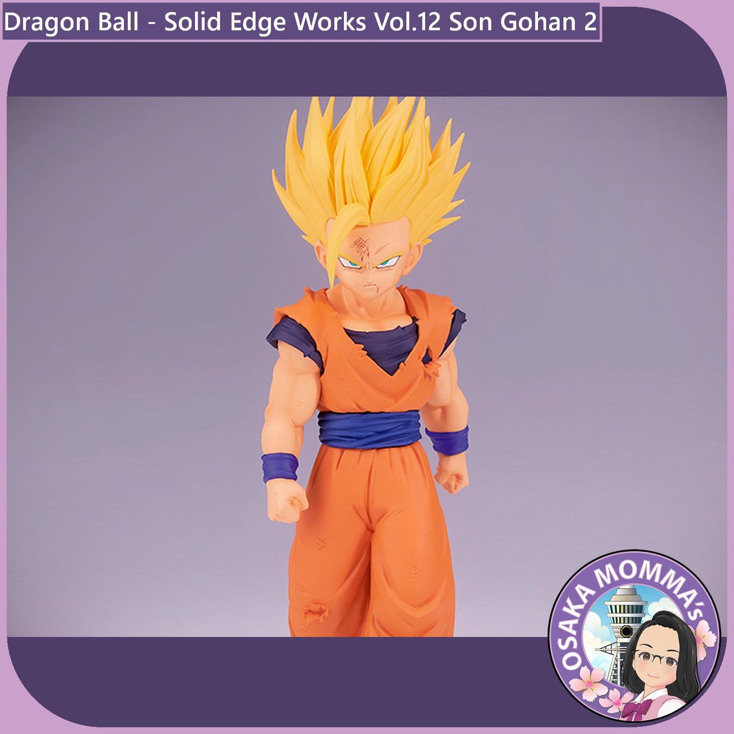 Son Gohan - Solid Edge Works Vol.12