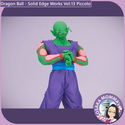 Piccolo - Solid Edge Works Vol.13